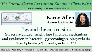 Karen Allen Seminar (The David Green Lecture in Enzyme Chemistry, 2025)