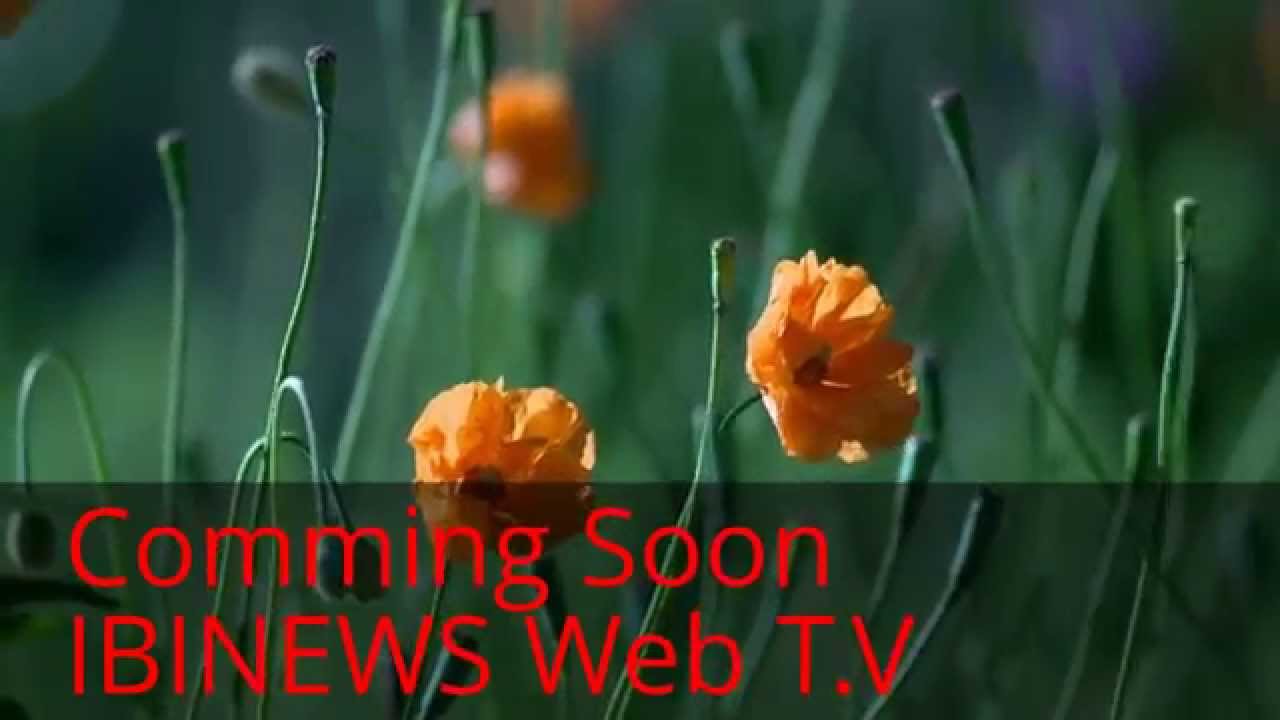 IBINEWS Web T.V