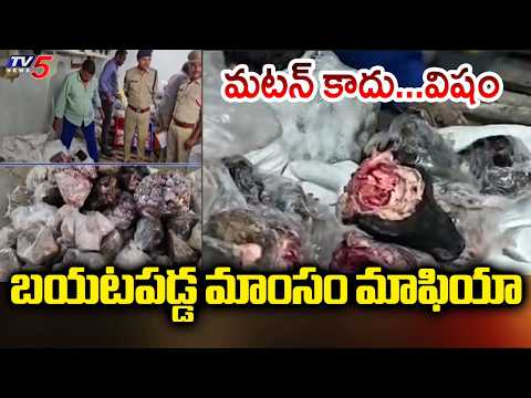 మటన్ కాదు... విషం - 14 Tonnes of Rotten Mutton Seized In Oldcity By Food Safety Officials | TV5 News - TV5NEWS
