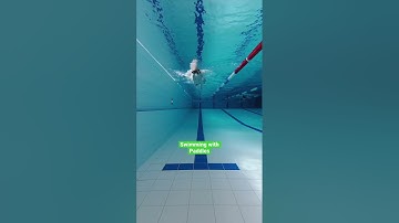 How to swim freestyle with paddles #swimming #shorts