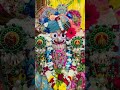 श्री रुक्मिणी द्वारकाधीश -16th June 2026