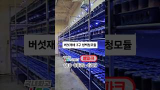 느타리버섯재배용 청백청3구 LED모듈납품