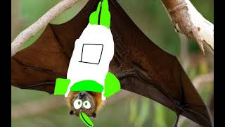 Andy Bat Andys Apple Farm