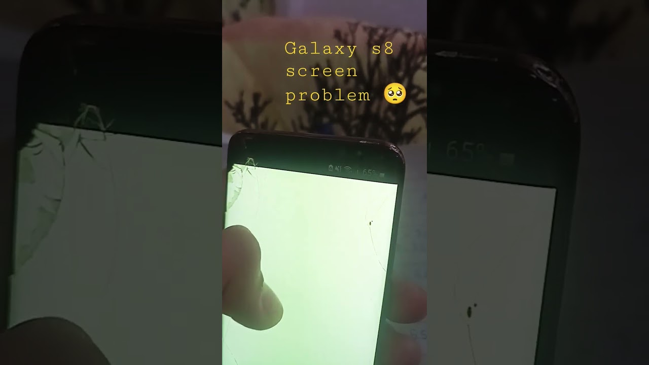galaxy s8 in 2023 screen problem need solution 