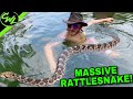 Swimming with RATTLESNAKE!