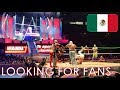 Looking for fans  saison 3  episode 1  la lucha libre