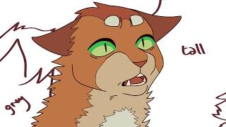 tigerstar broken bnesTEST2