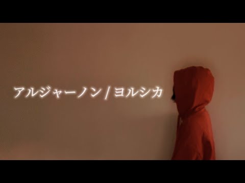 『 アルジャーノン 』covered by 果采