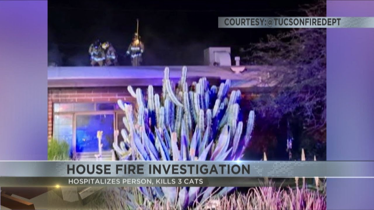 Three cats dead, two people displaced after Tucson house fire - YouTube