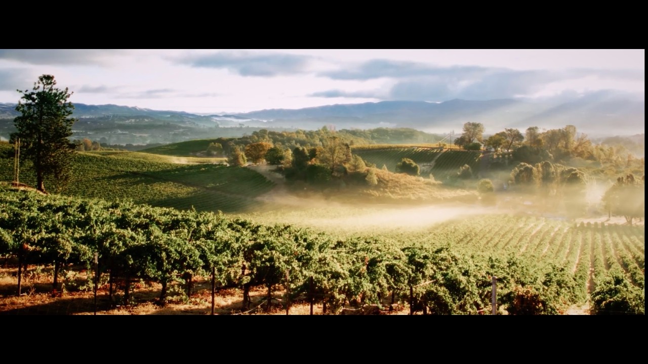 An Impossible Dream: The Making of a Legendary Vineyard and Premier Wine Brand.