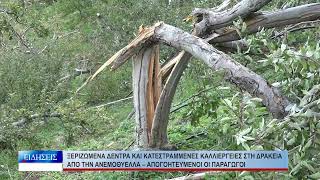 Βόλος Ξεριζωμένα δέντρα και κατεστραμμένες καλλιέργειες στη Δράκεια από την ανεμοθύελλα 161026