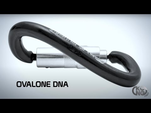 Kong Ovalone DNA