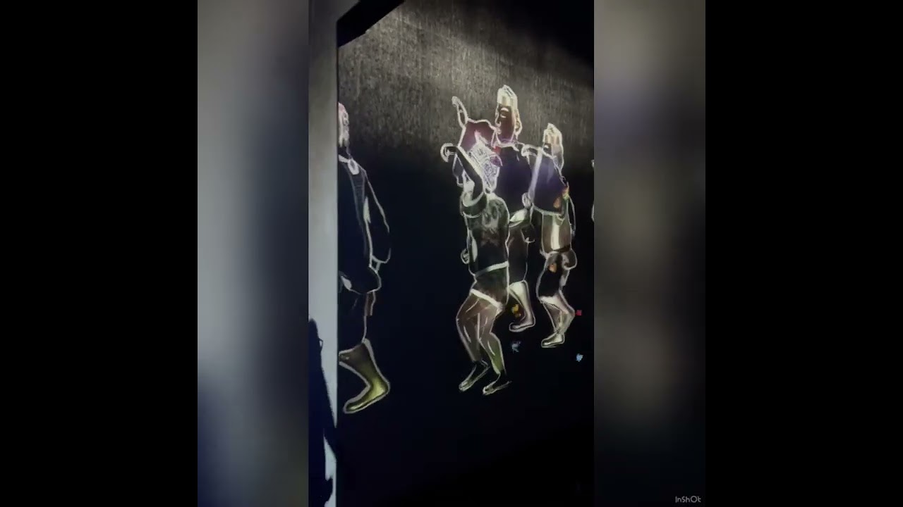 amazing japan travel at (odaiba) TEAM LAB illumination