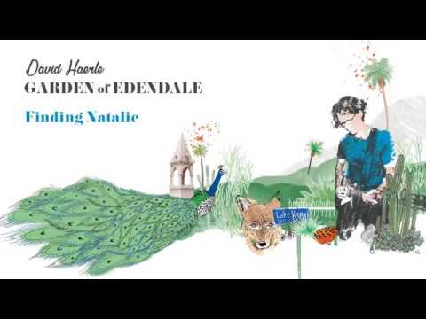 David Haerle -