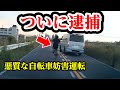 \祝・逮捕/あの悪質な妨害自転車ニキがついに逮捕されました【閲覧注意】交通事故・危険運転 衝撃の瞬間【自動車 77】