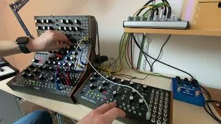 Moog Live Session - Amanita (Moog Sound Studio & Moog Mother 32)