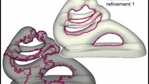 Computing Geometry-aware Handle and Tunnel Loops in 3D Models (Siggraph 2008)