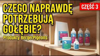 New BergerPigeons Products – Interview with Marcin Rzepka