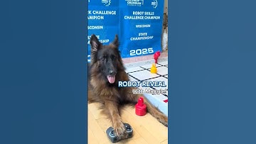 Vex Iq Mix & Match Robot Reveal | Long Haired German Shepherd #robotics #vex #germanshepherd #dog
