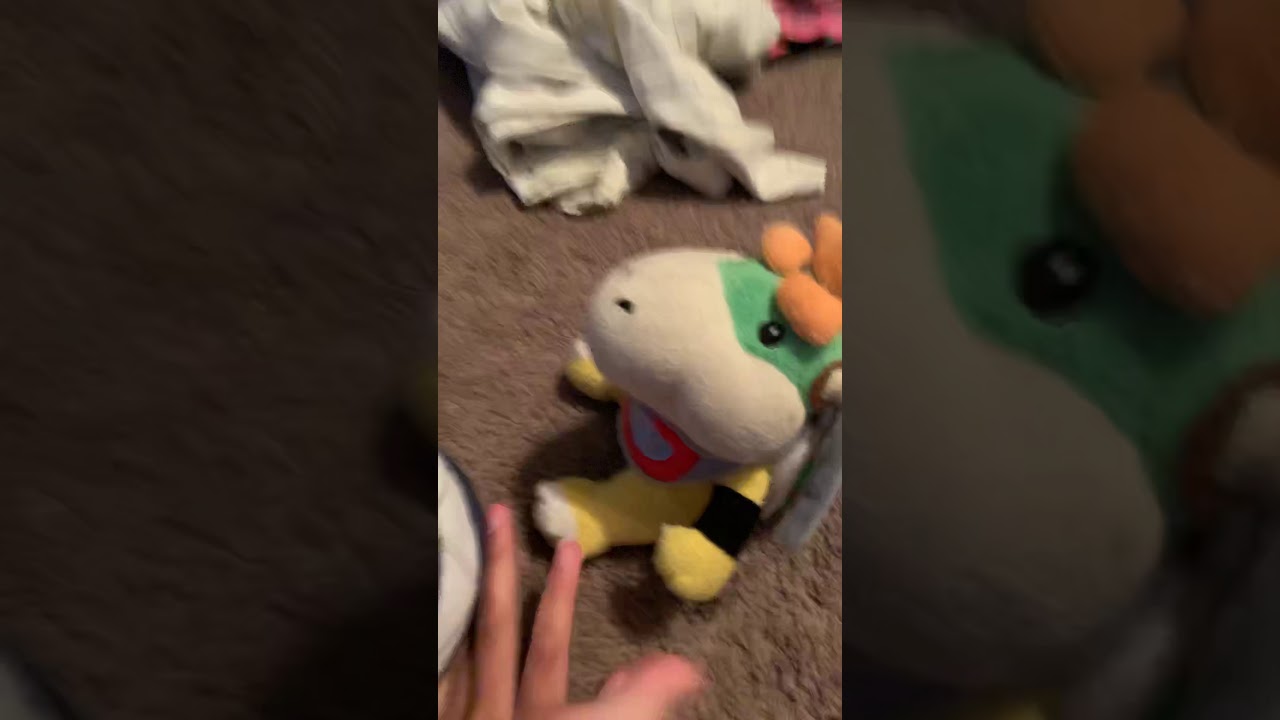 Bowser jrs new friend ! YouTube