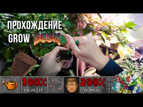 ПРОХОЖДЕНИЕ GROW DOOM | Посадка помидоров | Проращивание семян в Root Riot | GrowBrothers