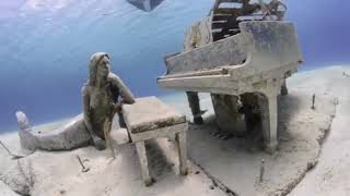 Billie Eilish - Birds Of A Feather (Piano Underwater version) screenshot 4