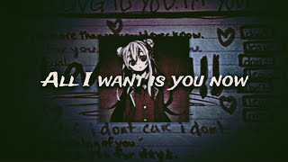 ALL I WANT IS YOU NOW~ (Slowed&Lyrics)