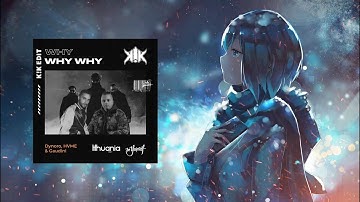 Dynoro, HVME & Gaudini - WHY WHY WHY (K!K Edit)