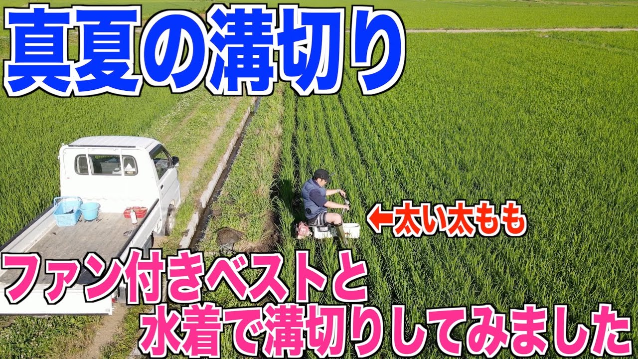 【水着で溝切り】真夏を乗り越える対策してみました  30代米作り奮闘記#91