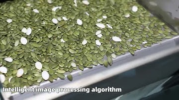 pumpkin seed color sorter machine