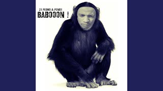 Baboon freestyle