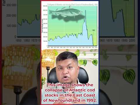 PTE Describe Image Practice: Collapse of Atlantic Cod Stocks