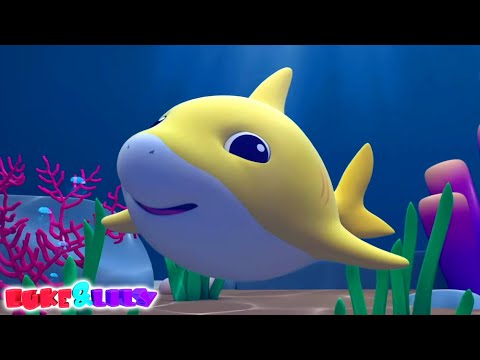 Luke ve Lily | Bebek Köpekbalığı Şarkısı 🦈🎵 Çocuk Şarkısı