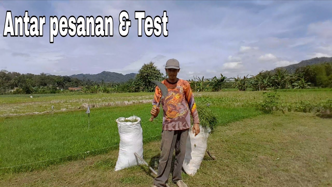 Bersama Pelanggan Langsung Test 2 Karung Tanpa Kosek | #arityasin