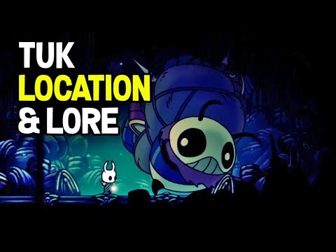 Hollow Knight- How