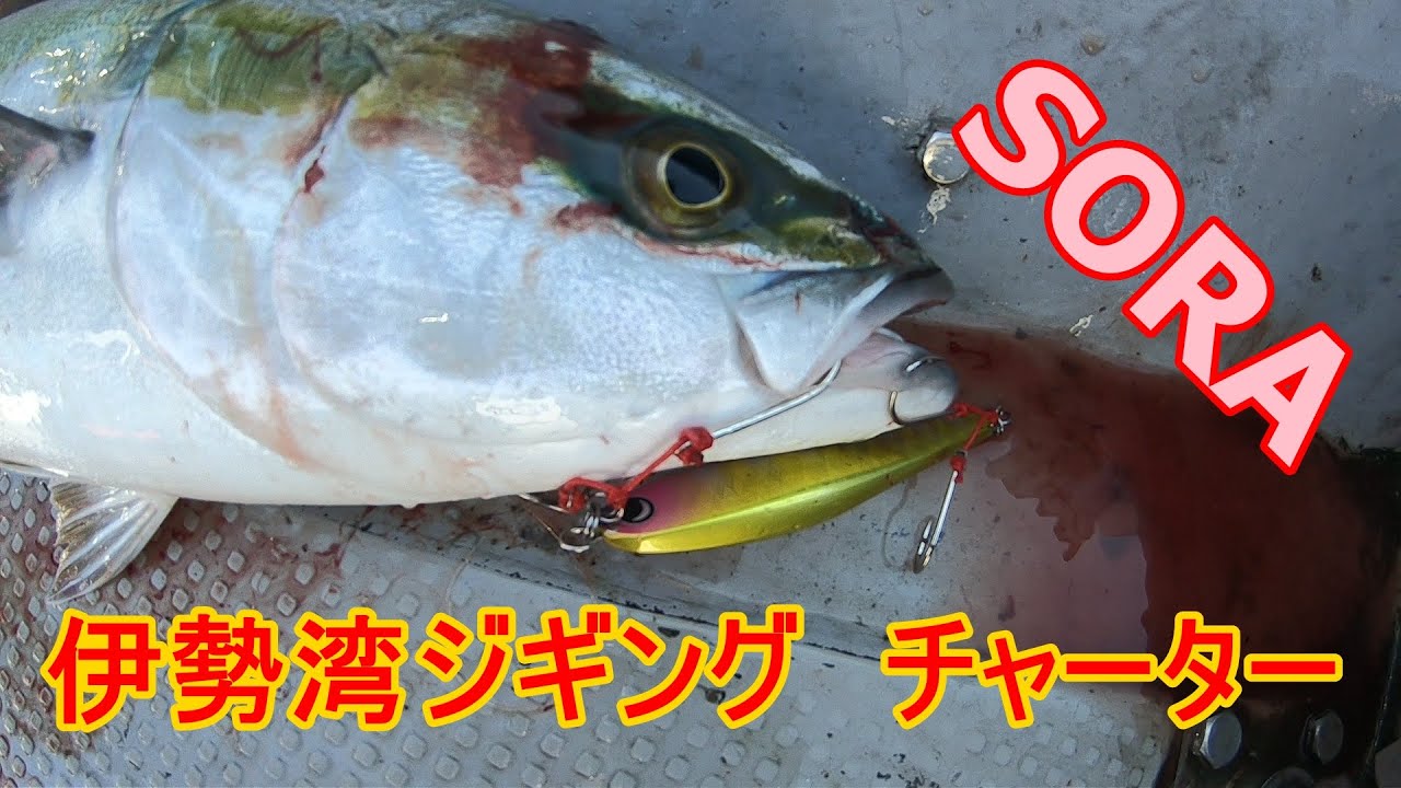 【ジギング探求】伊勢湾ジギング　SORAのチャーター便に誘われたので行ってみた。