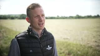 Doramax Series - Doramectin As An Active Ingredient