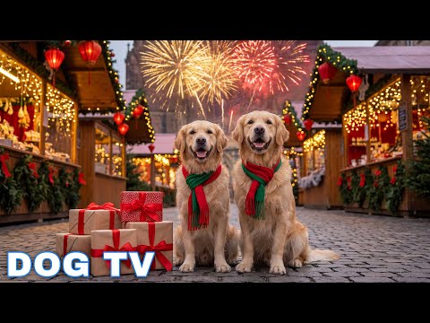 12 Hours Of Dog Calming Music Anti Separation Anxiety Relief Music Calming Dog Music Dog Tv