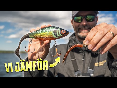 IG vs SMALL Lures for Pike Fishing – What Catches Bigger Fish?