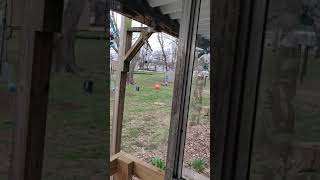 Annastazyas Diy Balance Beam