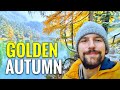 Golden Autumn SWISS Road Trip Graubünden - Landwasserviadukt, Bernina, Albula - Tranquil Snowy Mood