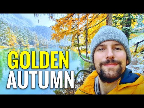 Golden Autumn SWISS Road Trip Graubünden - Landwasserviadukt, Bernina, Albula - Tranquil Snowy Mood