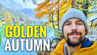 Golden Autumn SWISS Road Trip Graubünden - Landwasserviadukt, Bernina, Albula - Tranquil Snowy Mood