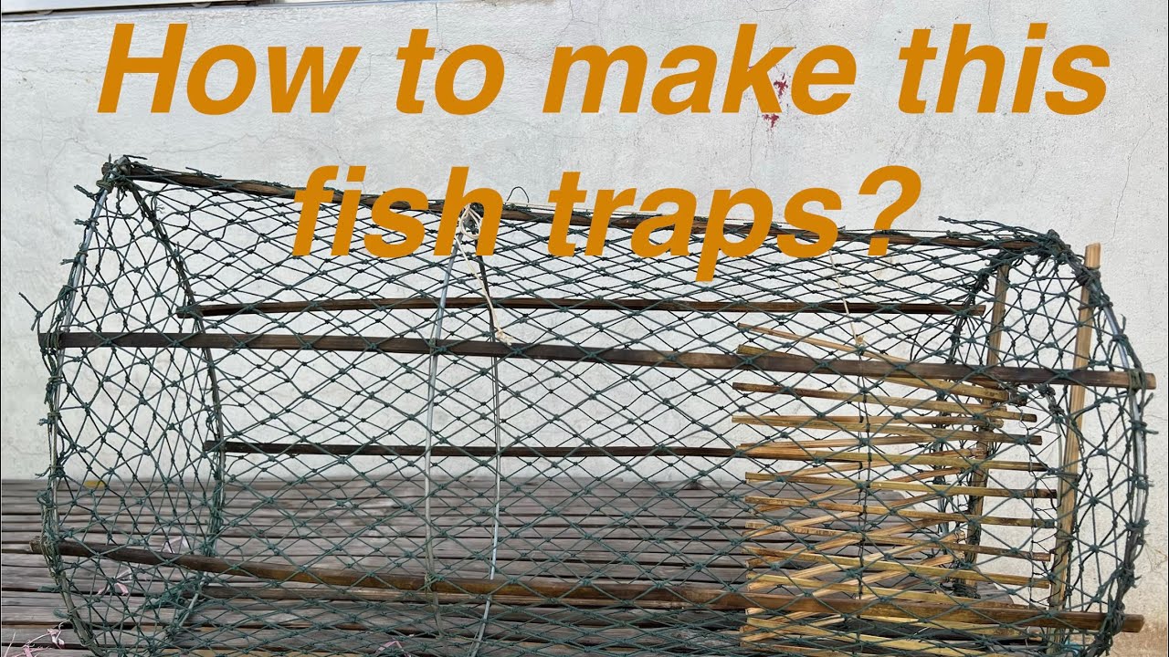How to make fish traps?