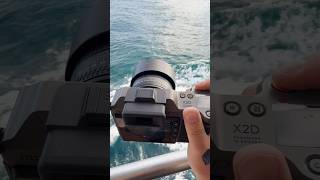 Hasselblad X2D 100C 100MP Camera | Stunning Photography & Image Quality Test