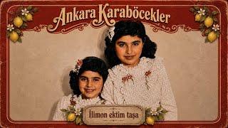 Ankara Karaböcekler - İlimon Ektim Taşa