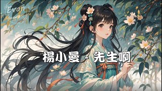 楊小曼 - 先生啊【動態歌詞Lyrics】
