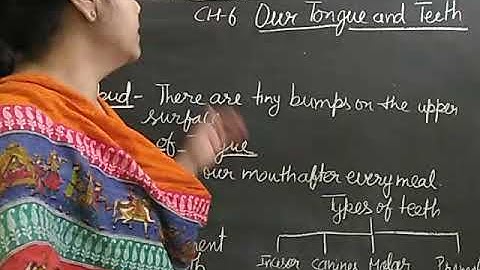 Bhartiyam public school /class 4/ science chapter 6