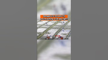 The Bengals Are Stupid