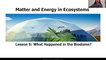 Grade 7: Matter and Energy in Ecosystems, Lesson 6 (Part 1 of 4)